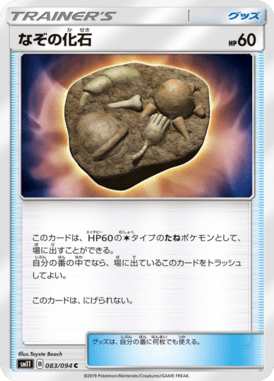 なぞの化石（C）