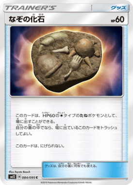 なぞの化石（C）