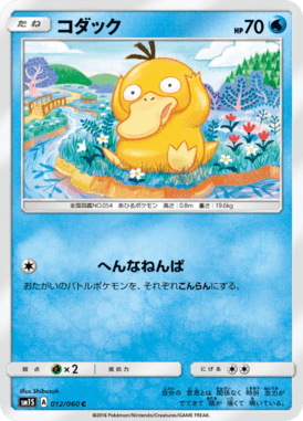 コダック（C）