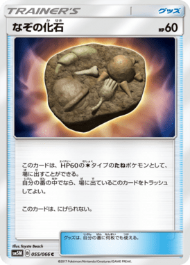 なぞの化石（C）