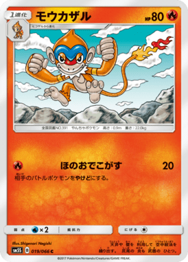モウカザル（C）