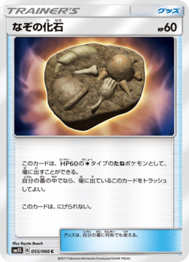 なぞの化石（C）
