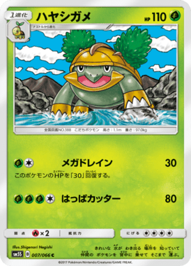 ハヤシガメ（C）
