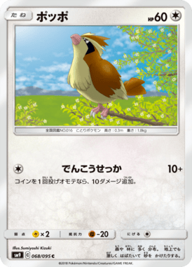 ポッポ（C）