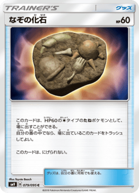 なぞの化石（C）