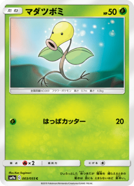 マダツボミ（C）
