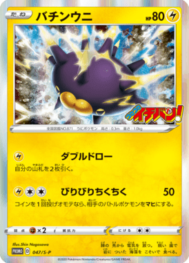 バチンウニ（P）