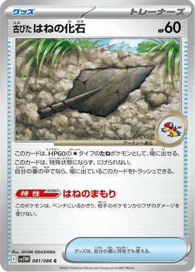 古びたはねの化石（C）