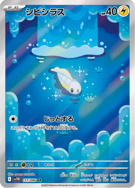 シビシラス（AR）