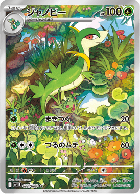 ジャノビー（AR）