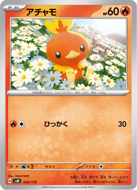 アチャモ（D）