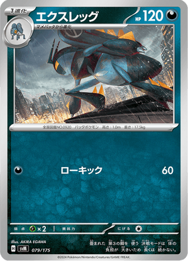 エクスレッグ（D）