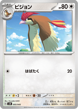 ピジョン（D）
