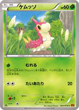 ケムッソ（C）
