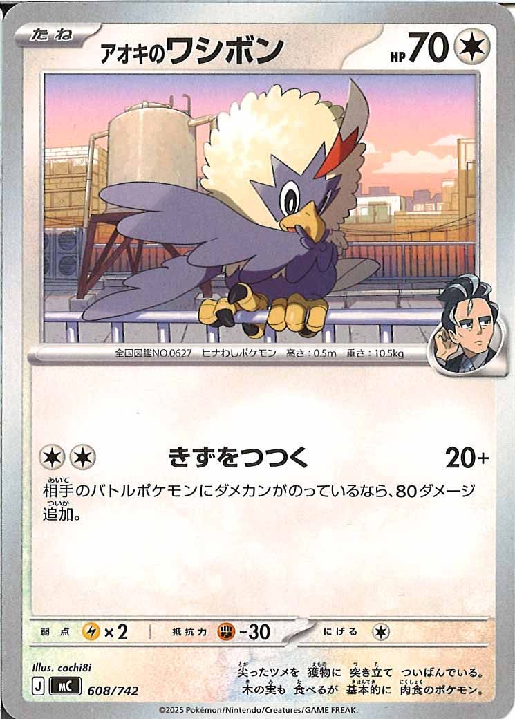 アオキのワシボン