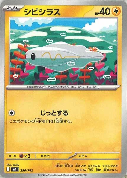 シビシラス
