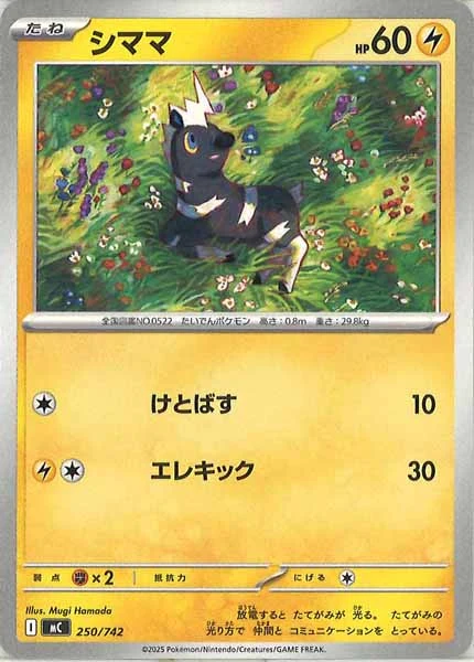 シママ