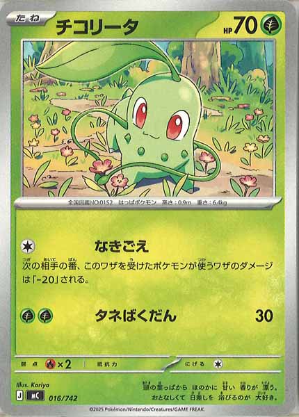 チコリータ