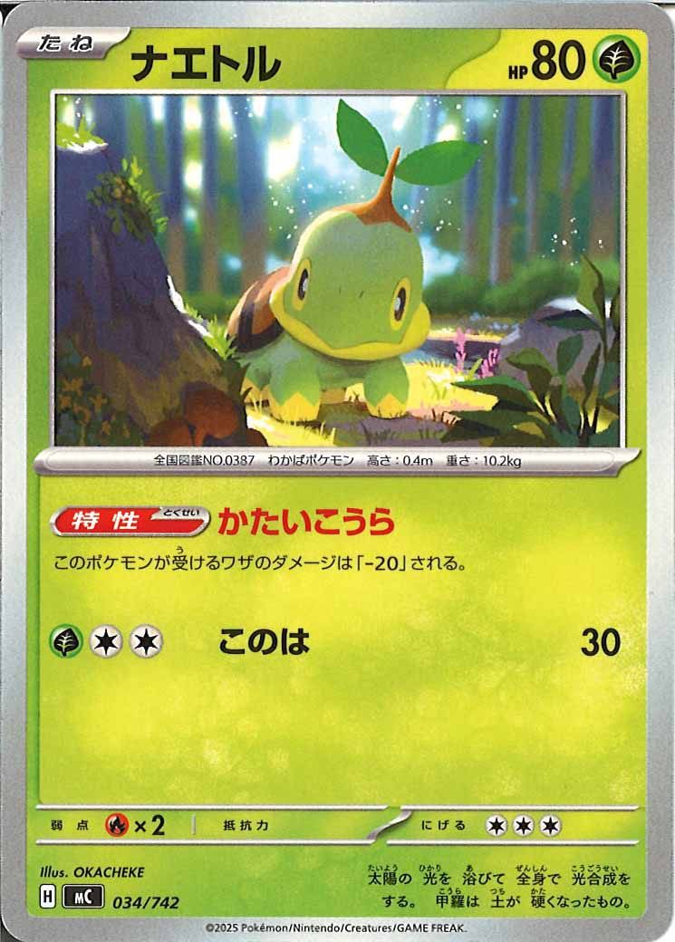 ナエトル
