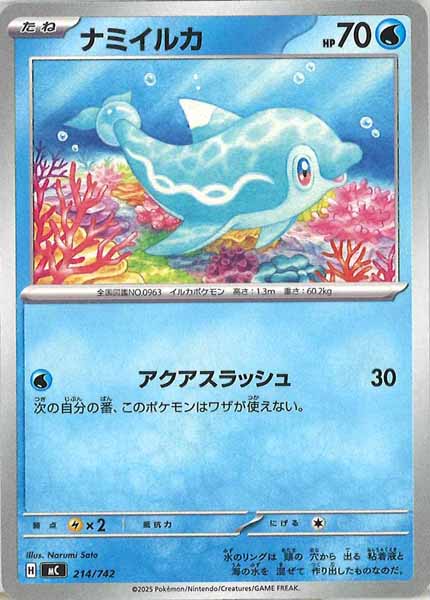 ナミイルカ