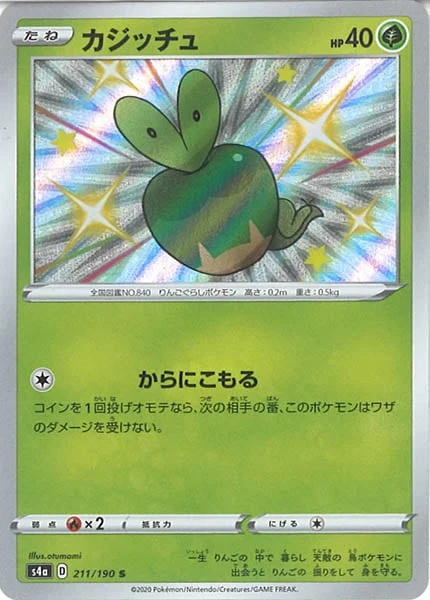 カジッチュ（S）