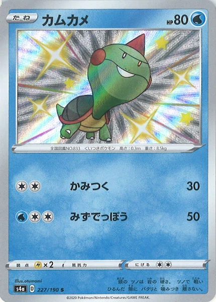 カムカメ（S）