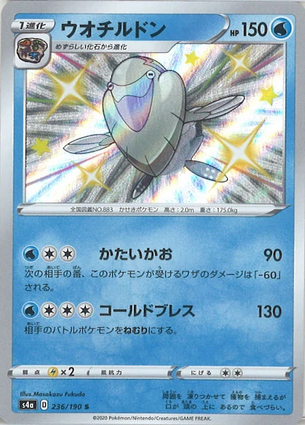 ウオチルドン（S）
