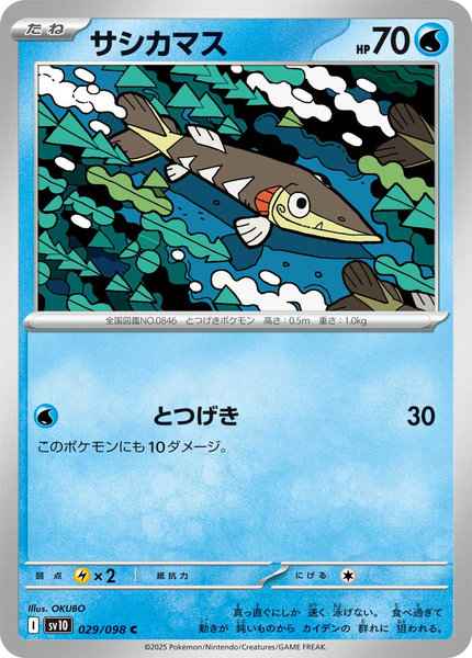 サシカマス（C）