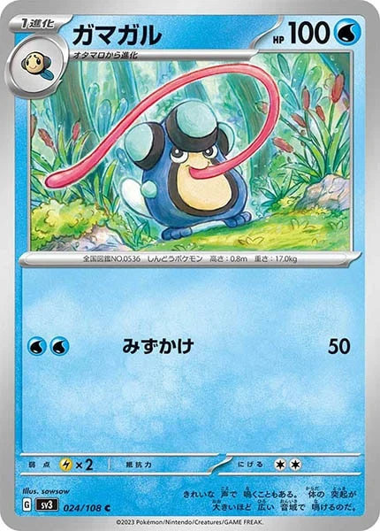 ガマガル（C）