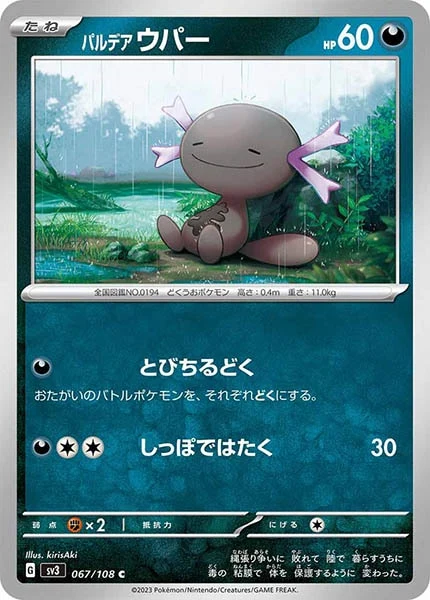 パルデアウパー（C）