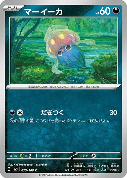 マーイーカ（C）