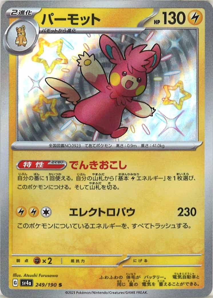 パーモット（S）