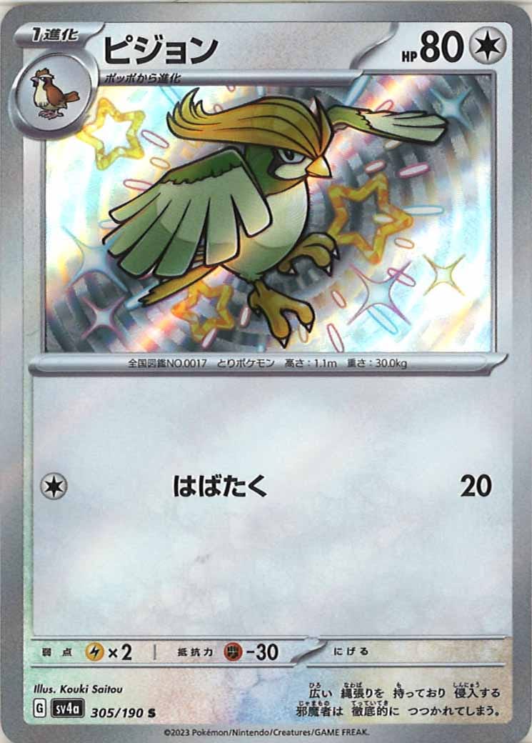 ピジョン（S）
