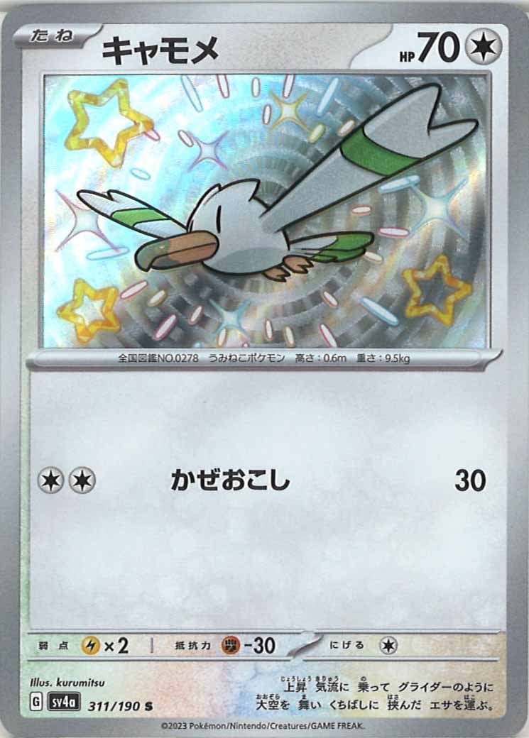 キャモメ（S）