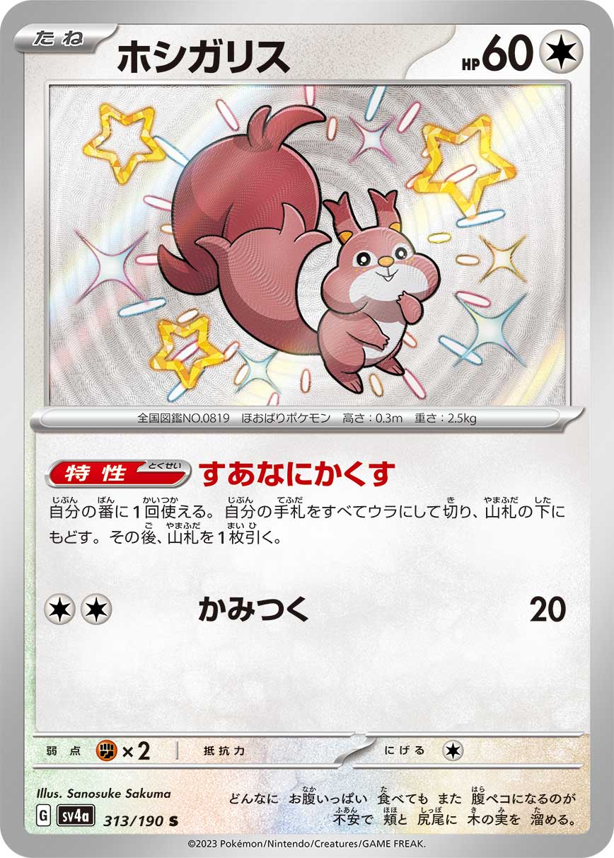 ホシガリス（S）