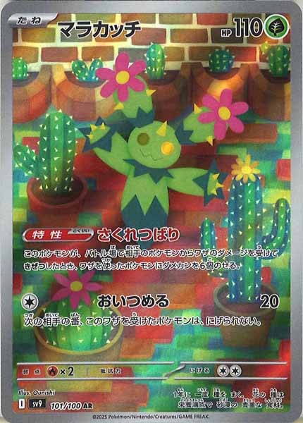 マラカッチ（AR）