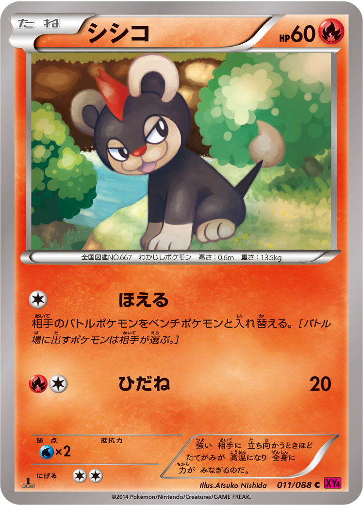 シシコ（C）