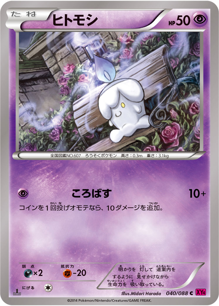 ヒトモシ（C）